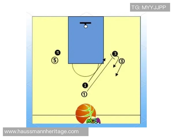 篮球新手必看:快速掌握技巧与战术的全面入门指南 篮球新手必看:快速掌握技巧与战术的全面入门指南