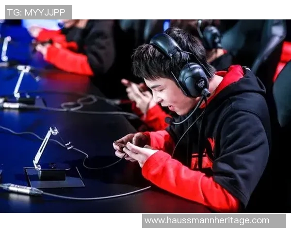 王者荣耀深度解析：揭秘WE战队选手的个人能力与成长历程