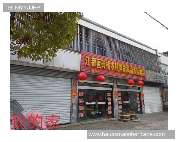 与刘娜畅谈篮球生涯的点滴与追求的精彩旅程