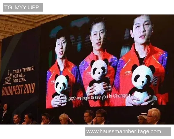 成都网球队与深圳网球队赛后复盘分析双方状态与表现对比