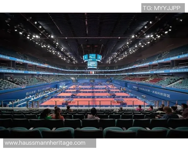 成都乒乓球队在世锦赛中的表现分析与状态点评