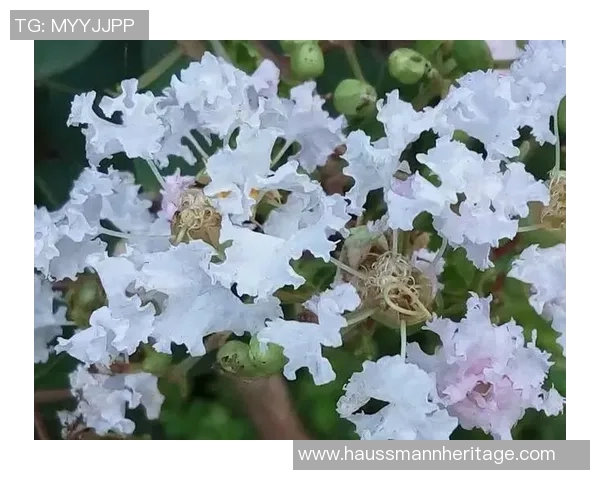 武汉篮球队反击战术分析与成败得失探讨 武汉篮球队反击战术分析与成败得失探讨