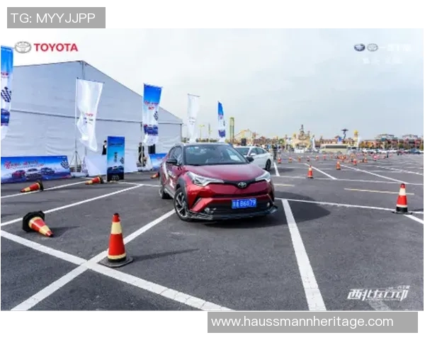 西安网球队实力深度对比与发展潜力分析 西安网球队实力深度对比与发展潜力分析