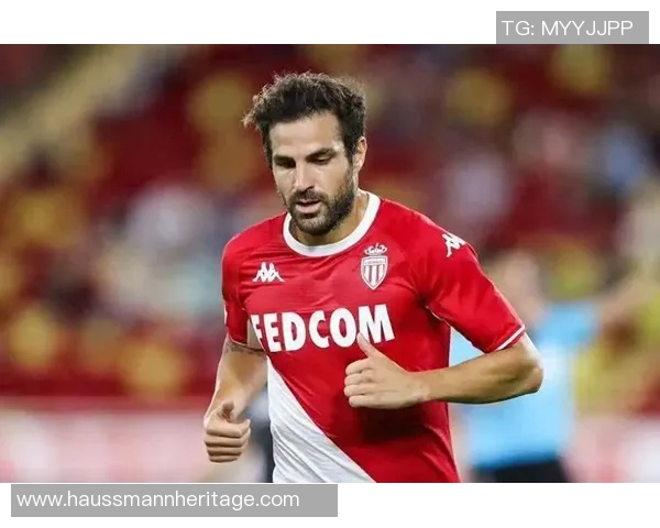 摩纳哥与图鲁兹的精彩对决揭示法甲新赛季的竞争格局