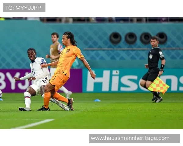 波黑与荷兰激战正酣赛果揭晓引发球迷热议