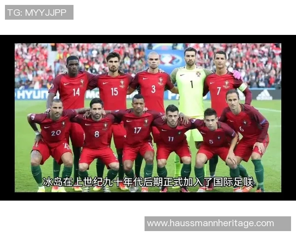 葡萄牙与冰岛小组赛精彩对决分析及战术解析