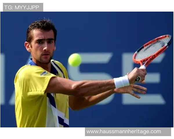 费德勒与西里奇巅峰对决经典网球赛事再度上演精彩瞬间