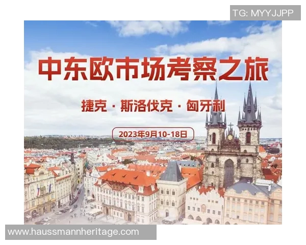 斯洛伐克篮球明星的崛起与成就探索之旅